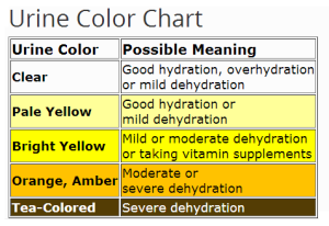 Urine Colour 1